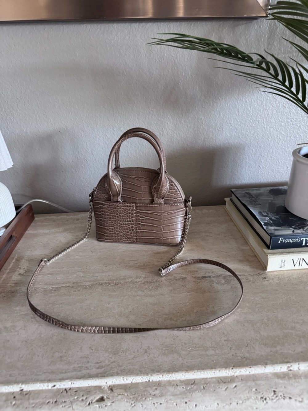 Zara Croc-Embossed Taupe Mini Satchel Bag
